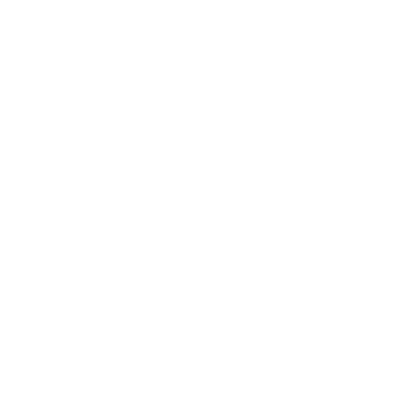 Experience Villanovo
